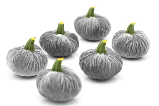 Flora Bunda&#xAE; Gray Velvet Pumpkins, 6ct.